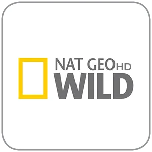 Experience wildlife wonders on Nat Geo Wild channel.