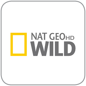 Discover Nat Geo Wild on our Cable TV and Unlimited Internet for informative shows.