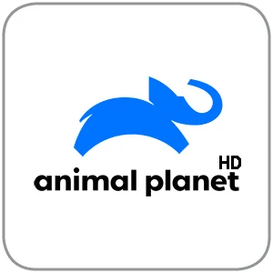 Access Animal Planet through our Cable TV and Unlimited Internet for diverse content.